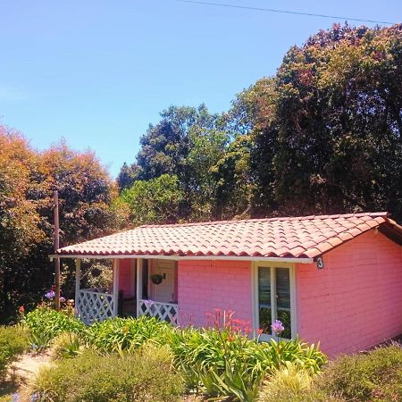 Hospedaje Santaelena -Chalets De Montana- Santa Elena  Buitenkant foto